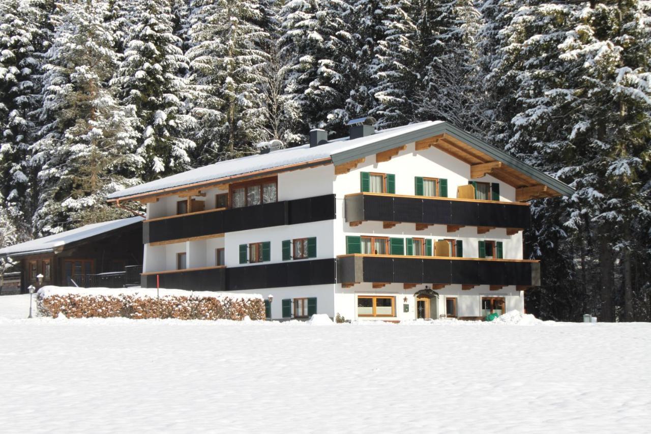 Otto Steiner Appartements Pension Ellmau & Wilder Kaiser Bagian luar foto