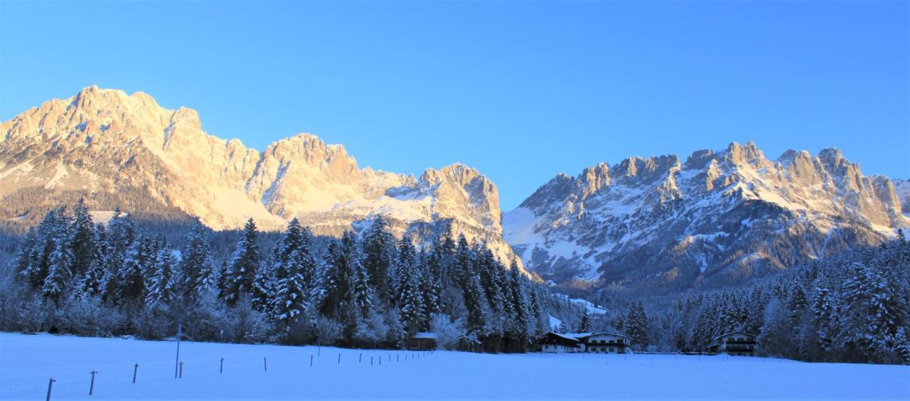 Otto Steiner Appartements Pension Ellmau & Wilder Kaiser Bagian luar foto