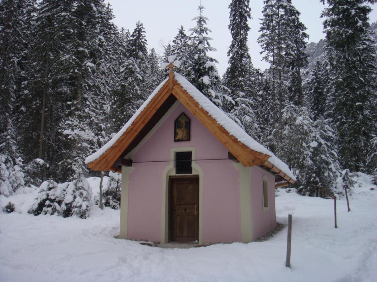 Otto Steiner Appartements Pension Ellmau & Wilder Kaiser Bagian luar foto