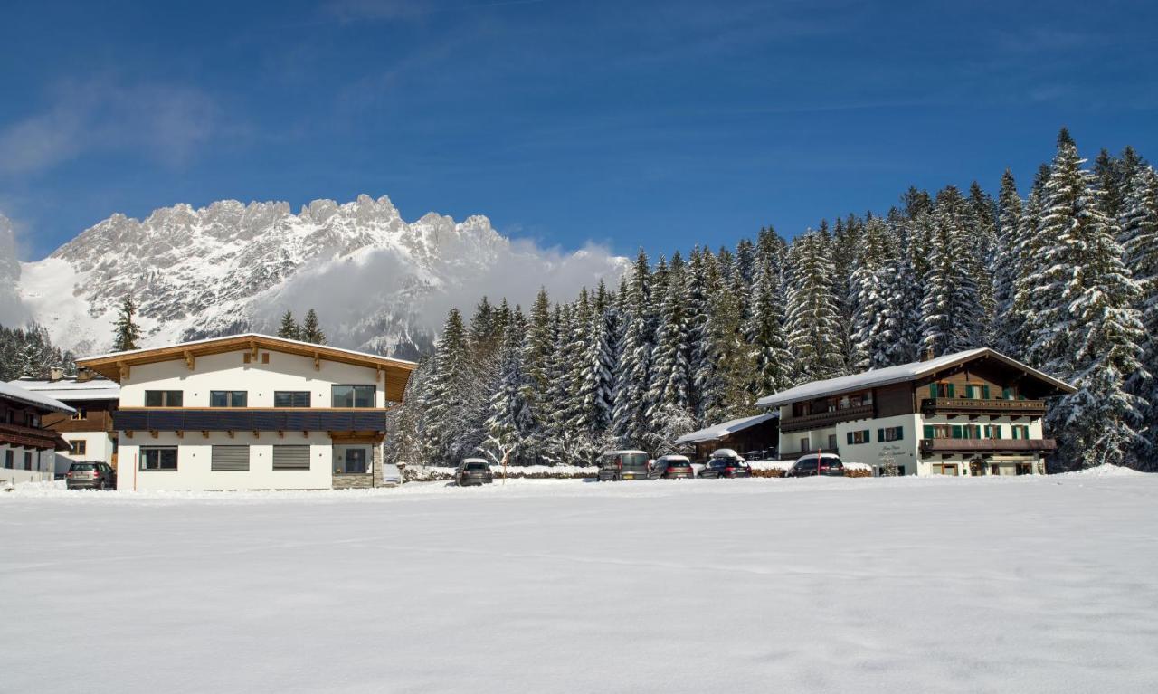 Otto Steiner Appartements Pension Ellmau & Wilder Kaiser Bagian luar foto